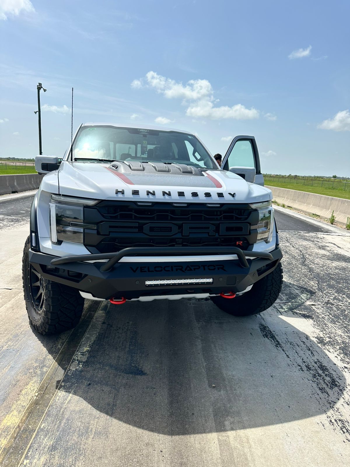 Velociraptor - View 5